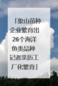 象山苗种企业繁育出26个海洋鱼类品种 记者亲历工厂化繁育