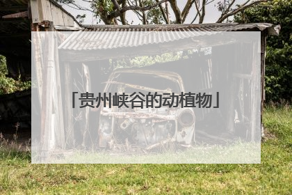 贵州峡谷的动植物