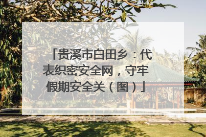 贵溪市白田乡：代表织密安全网，守牢假期安全关（图）