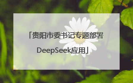 贵阳市委书记专题部署DeepSeek应用