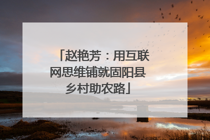 赵艳芳：用互联网思维铺就固阳县乡村助农路