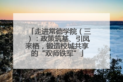 走进常德学院（三）：政策筑基、引凤来栖，锻造校城共享的“双师铁军”