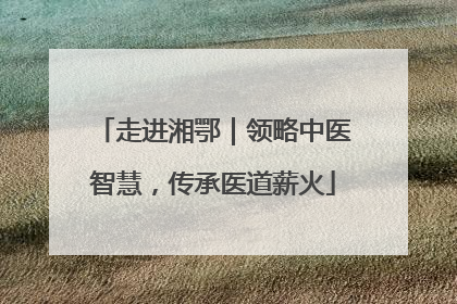 走进湘鄂｜领略中医智慧，传承医道薪火