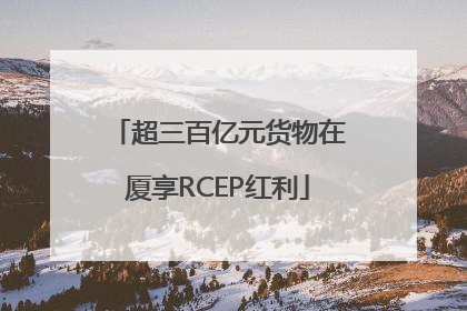 超三百亿元货物在厦享RCEP红利