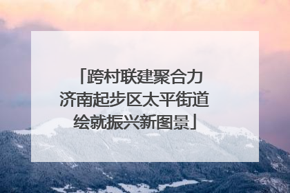 跨村联建聚合力 济南起步区太平街道绘就振兴新图景