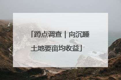 蹲点调查｜向沉睡土地要亩均收益