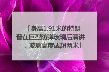 身高1.91米的特朗普在巨型防弹玻璃后演讲，玻璃高度或超两米
