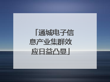 通城电子信息产业集群效应日益凸显