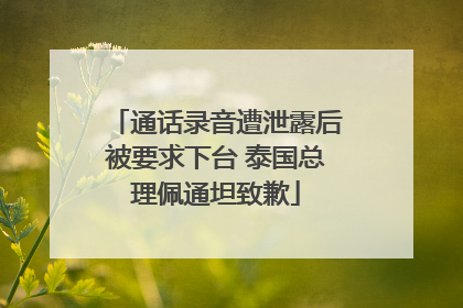 通话录音遭泄露后被要求下台 泰国总理佩通坦致歉