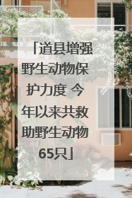 道县增强野生动物保护力度 今年以来共救助野生动物65只