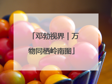 邓勃视界｜万物同栖岭南图