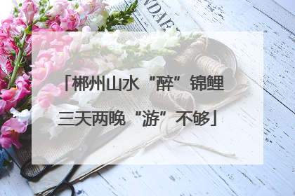 郴州山水“醉”锦鲤 三天两晚“游”不够