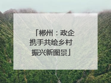 郴州：政企携手共绘乡村振兴新图景