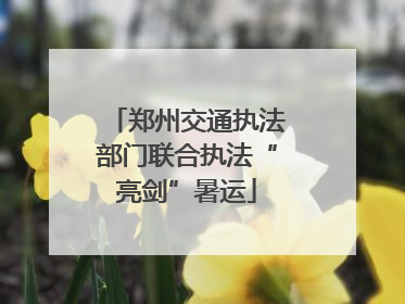 郑州交通执法部门联合执法“亮剑”暑运