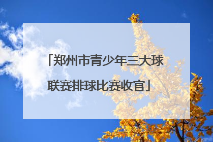 郑州市青少年三大球联赛排球比赛收官