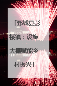 鄄城县彭楼镇：设施大棚赋能乡村振兴