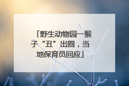 野生动物园一猴子“丑”出圈，当地保育员回应