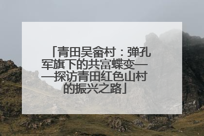 青田吴畲村：弹孔军旗下的共富蝶变——探访青田红色山村的振兴之路