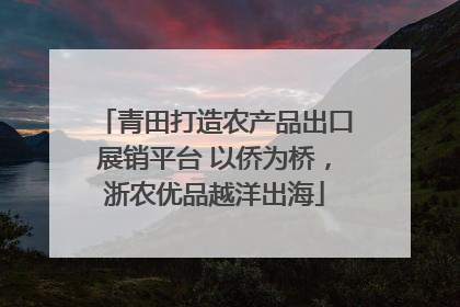 青田打造农产品出口展销平台 以侨为桥，浙农优品越洋出海