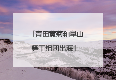 青田黄菊和阜山笋干组团出海