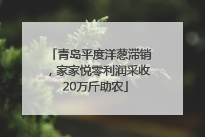 青岛平度洋葱滞销，家家悦零利润采收20万斤助农
