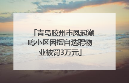 青岛胶州市凤起潮鸣小区因擅自选聘物业被罚3万元