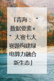 青海：“数据要素×”大赛七大赛题构建绿电算力融合新生态