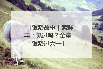 银龄故事｜孟群丰：见过吗？金童银龄过六一