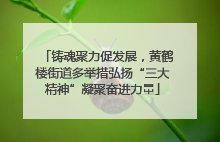铸魂聚力促发展，黄鹤楼街道多举措弘扬“三大精神”凝聚奋进力量