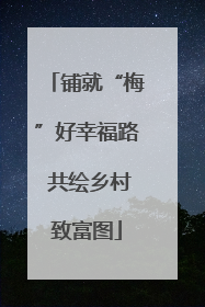 铺就“梅”好幸福路 共绘乡村致富图