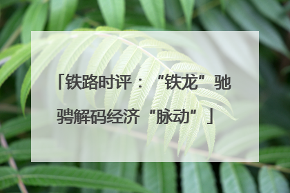 铁路时评：“铁龙”驰骋解码经济“脉动”