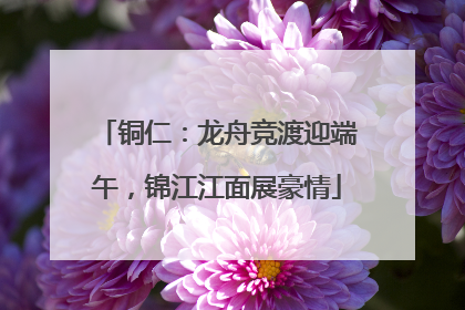 铜仁：龙舟竞渡迎端午，锦江江面展豪情