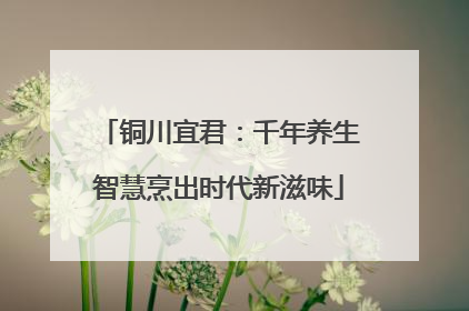 铜川宜君：千年养生智慧烹出时代新滋味