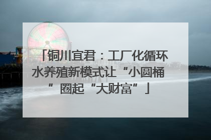 铜川宜君：工厂化循环水养殖新模式让“小圆桶”圈起“大财富”