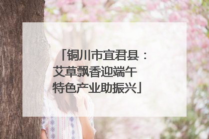 铜川市宜君县：艾草飘香迎端午 特色产业助振兴