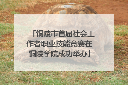 铜陵市首届社会工作者职业技能竞赛在铜陵学院成功举办