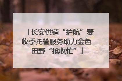 长安供销“护航”麦收季托管服务助力金色田野“抢收忙”