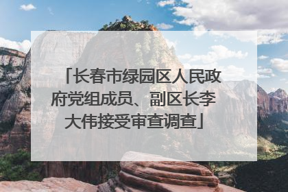 长春市绿园区人民政府党组成员、副区长李大伟接受审查调查