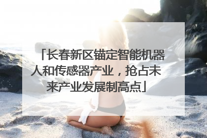长春新区锚定智能机器人和传感器产业，抢占未来产业发展制高点