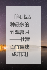 闽北品种最多的竹观赏园——杜潭百竹园建成开园