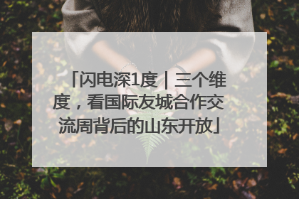 闪电深1度｜三个维度，看国际友城合作交流周背后的山东开放
