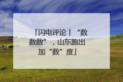 闪电评论丨“数数数”，山东跑出加“数”度