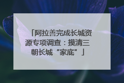 阿拉善完成长城资源专项调查：摸清三朝长城“家底”