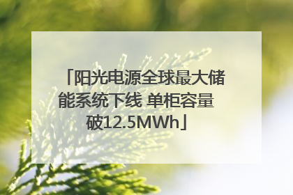 阳光电源全球最大储能系统下线 单柜容量破12.5MWh