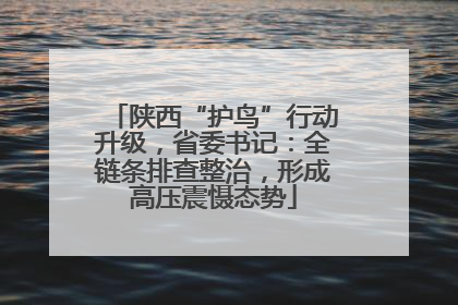 陕西“护鸟”行动升级，省委书记：全链条排查整治，形成高压震慑态势