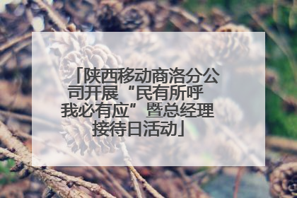 陕西移动商洛分公司开展“民有所呼 我必有应”暨总经理接待日活动