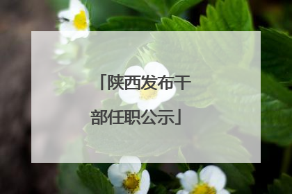 陕西发布干部任职公示