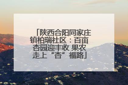 陕西合阳同家庄镇柏瑞社区：百亩杏园迎丰收 果农走上“杏”福路