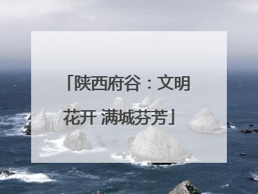 陕西府谷：文明花开 满城芬芳