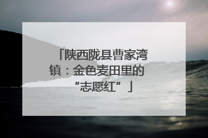 陕西陇县曹家湾镇：金色麦田里的“志愿红”